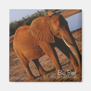 Aimant Big Red