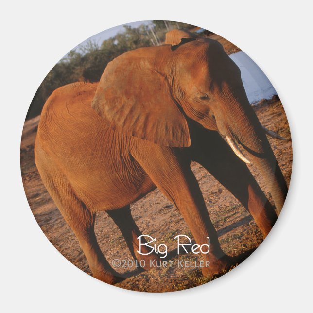 Aimant Big Red (Devant)