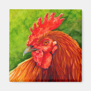 Aimant Big Red - Rooster Magneted R