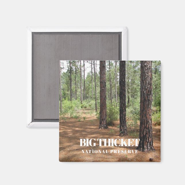Aimant Big Thicket National Preserve, Pine Forest, Texas (Recto/Verso)