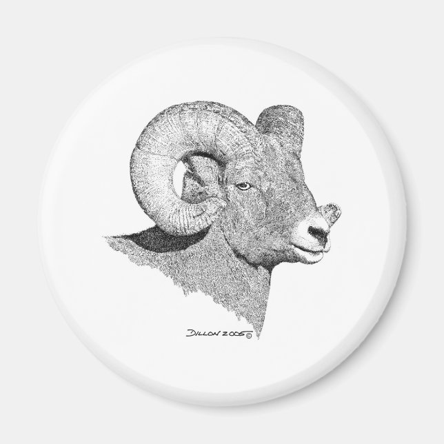 Aimant Bighorn Sheep (Devant)