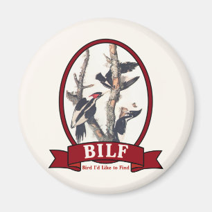 AIMANT BILF