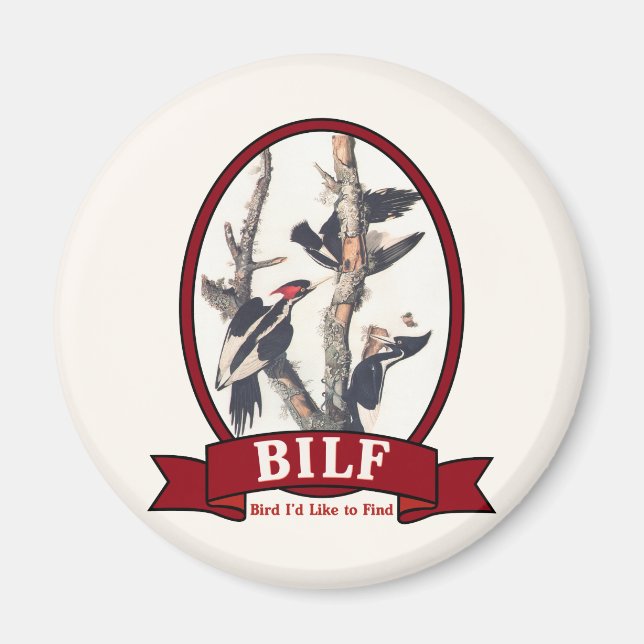 AIMANT BILF (Devant)