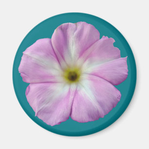Aimant Bindweed #1