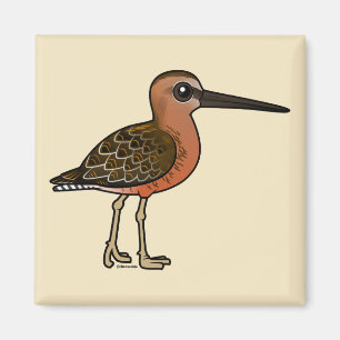 Aimant Birdorable Long-a affiché le Dowitcher