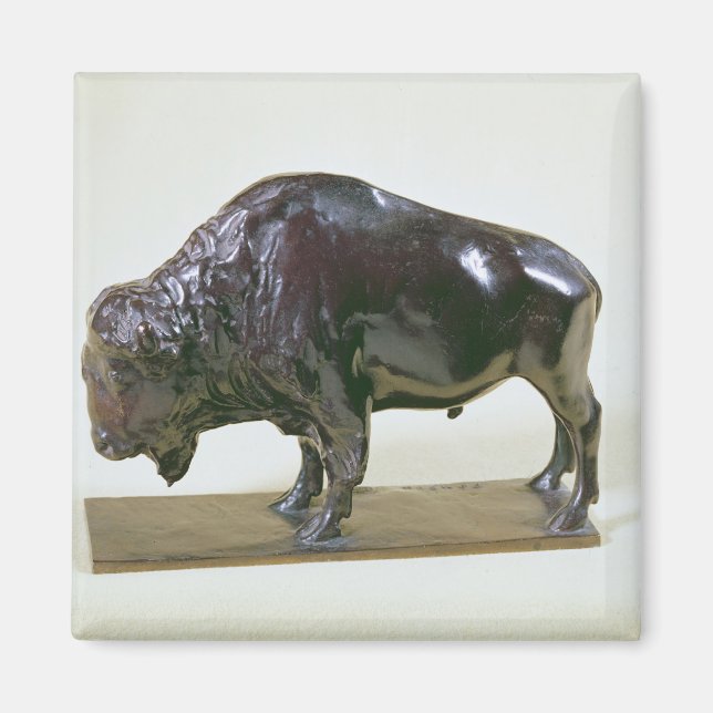 Aimant Bison, 1907 (Devant)