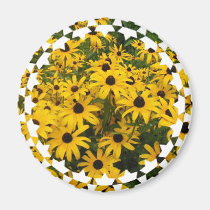 Aimant black-eyed-susan-6