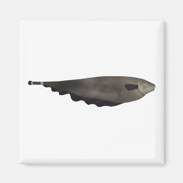 Aimant Black Ghost (Devant)