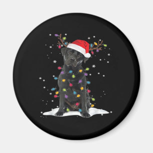 Aimant Black Labrador Xmas Dog Christmas Tree Light Class