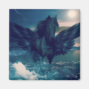 Aimant Black Pegasus Emerging