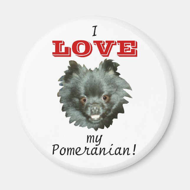 Aimant Black Pomeranian-I LOVE my Pomeranian! (Devant)