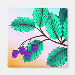 Aimant Blackberries sur une branche