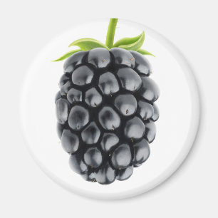 Aimant Blackberry