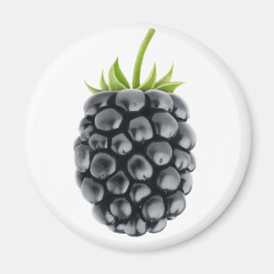 Aimant Blackberry