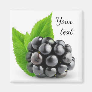 Aimant Blackberry