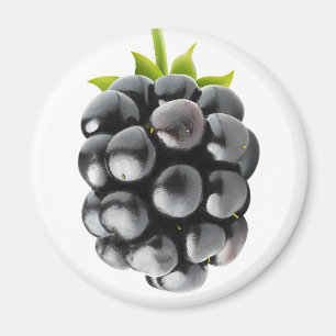 Aimant Blackberry