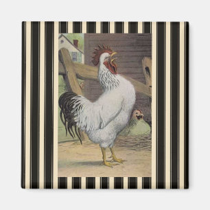 Aimant blanc de réfrigérateur de poule de coq de