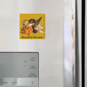 Aimant Blessé Bountiful Harvest Colorful Cornucopia