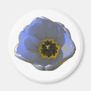 Aimant bleu et jaune pour tulipe