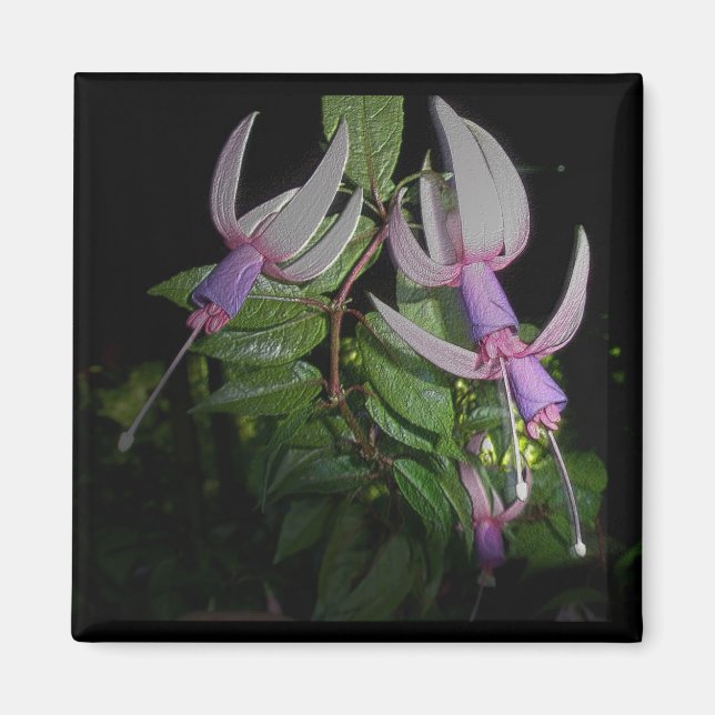 Aimant bleu Fushia (Devant)