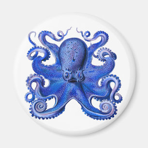 Aimant Bleu octopique de Haeckel