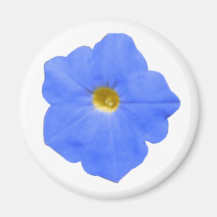 Aimant bleu vert et jaune pétunia
