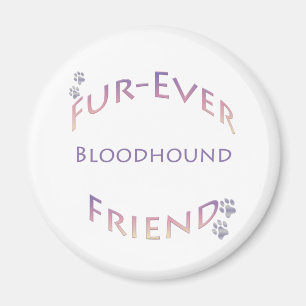 Aimant Bloodhound Furever