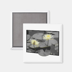 Aimant Bloom au-delà du cadre