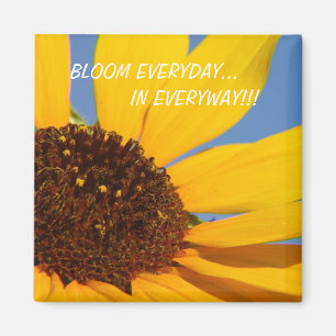AIMANT BLOOM TOUS LES JOURS..., DE TOUTE FAÇON ! ! !