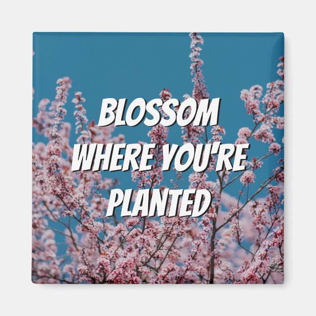 Aimant BLOSSOM DE Cerisier Floral OÙ VOUS ÊTES PLANTÉ (Devant)