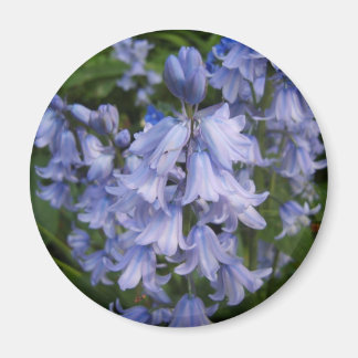 Aimant Bluebells