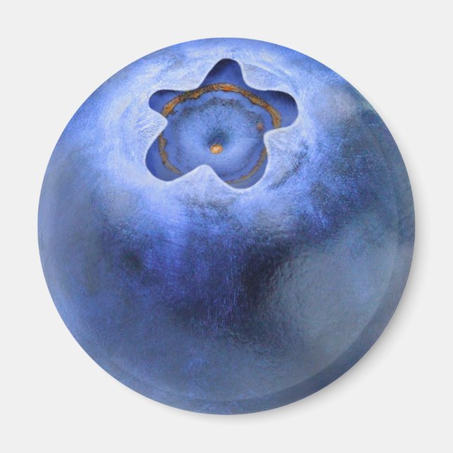 Aimant Blueberry (Devant)