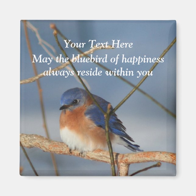 Aimant Bluebird Of Happiness Inspiration (Devant)