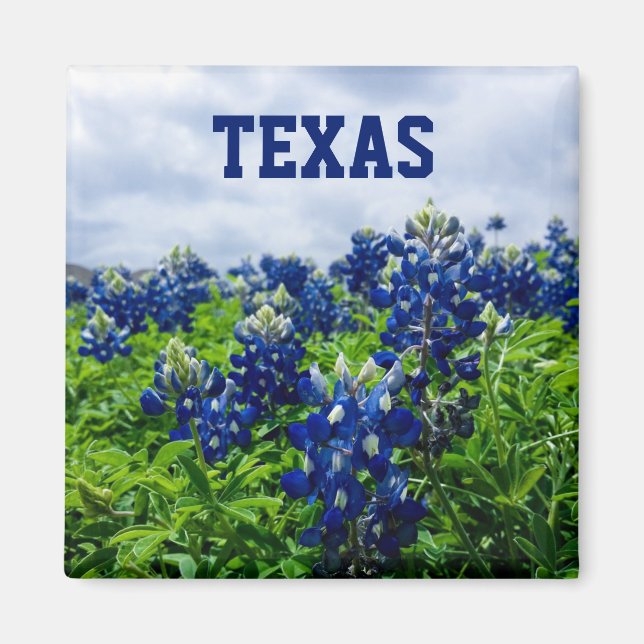 Aimant Bluebonnets Fleurs Bleues Texas Texan Floral (Devant)