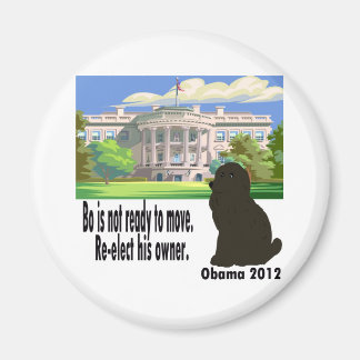 Aimant Bo N'Est Pas En Train De Réélire Son Propriétaire 