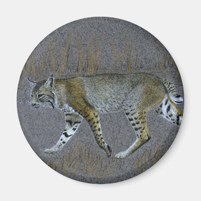 Aimant Bobcat (Devant)