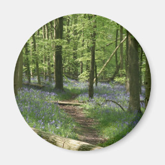 Aimant Bois de Bluebell
