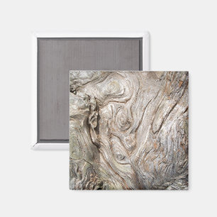 Aimant Bois flotté magnifique, œuvre d'art de la nature
