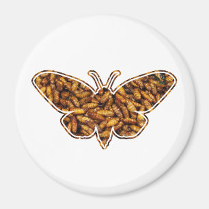 Aimant Bombyx Mori Silk Moth Cycle de vie Silhouette