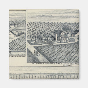 Aimant Bonacourt Ranch, Washington Colony, Californie