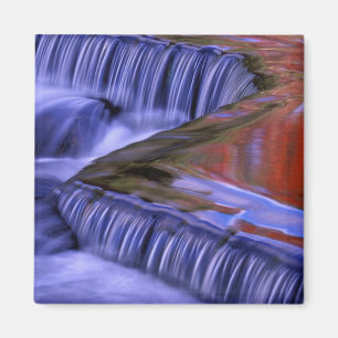 Aimant Bond Falls; reflets de feuilles colorées;