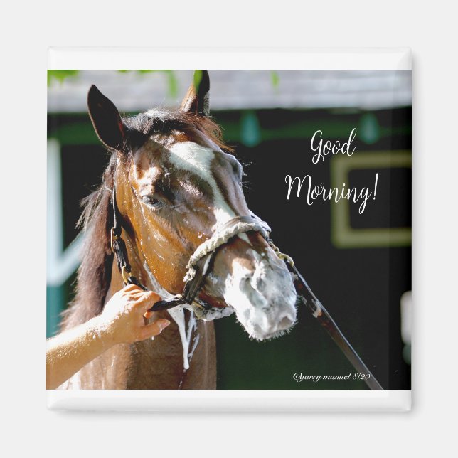 Aimant Bonjour ! Cheval (Devant)