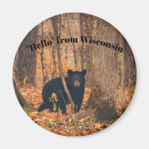 Aimant Bonjour du Wisconsin avec ours noir
