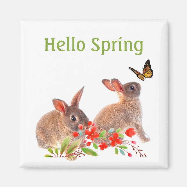 Aimant Bonjour Lapin de printemps et Papillon (Devant)