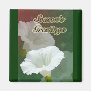 Aimant Bonnes Fêtes - Bindweed blanc