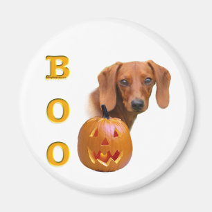 Aimant Boo Dachshund (lisse)