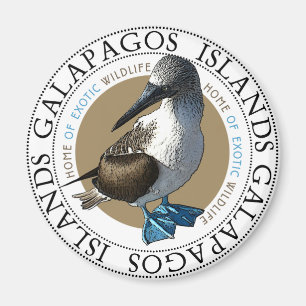 Aimant Booby Pied Bleu