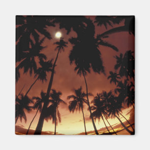 Aimant Bora Bora, Polynésie française Coucher de soleil à
