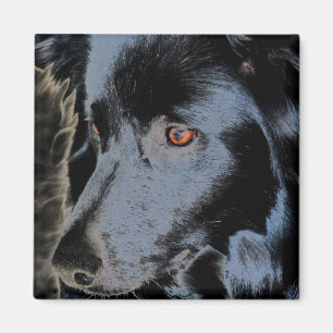 Aimant Border collie noir font face à l'aimant de chien