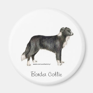Aimant Bordure Collie